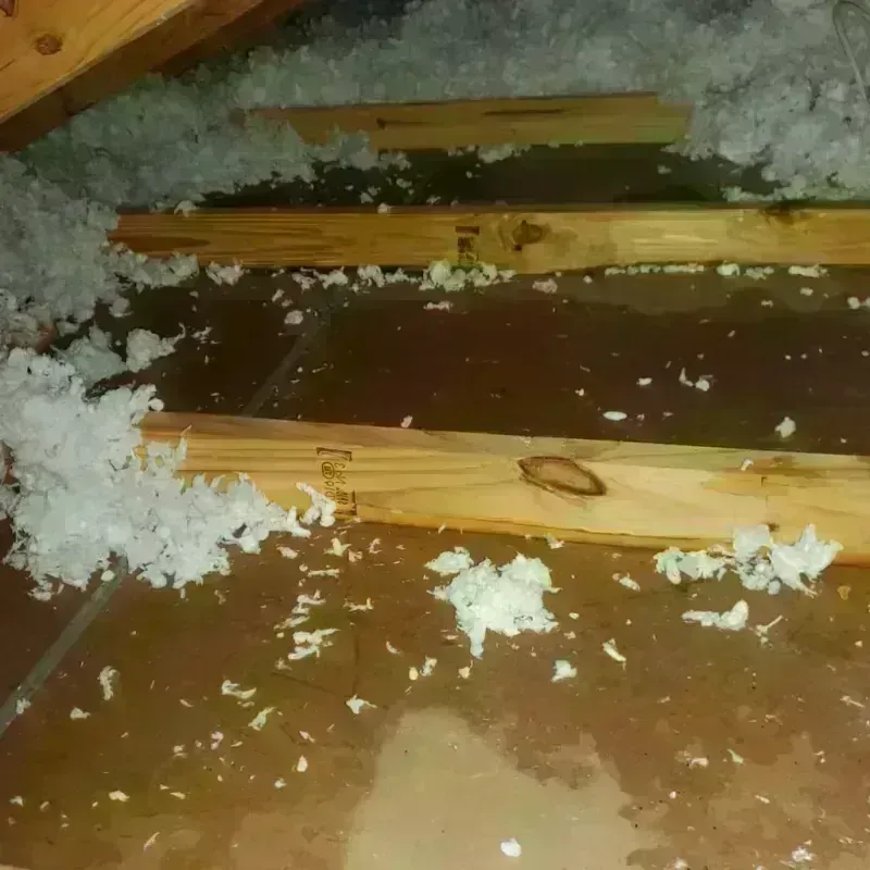 Attic Water Damage in Centerville, SC